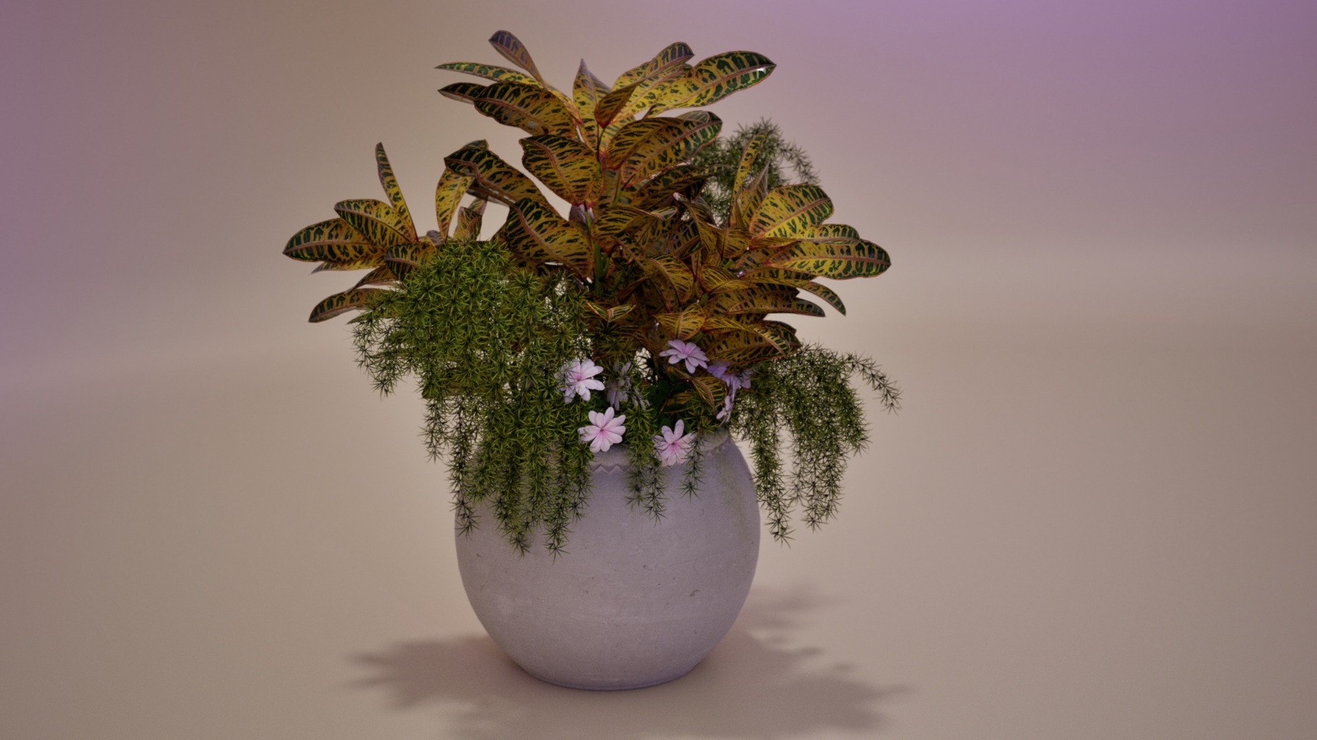 Media 1 for listing PH Store - House Plant 02
