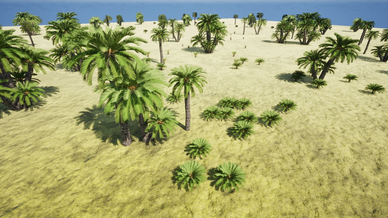 Media 1 for listing Sago Palm(Cycas revoluta)