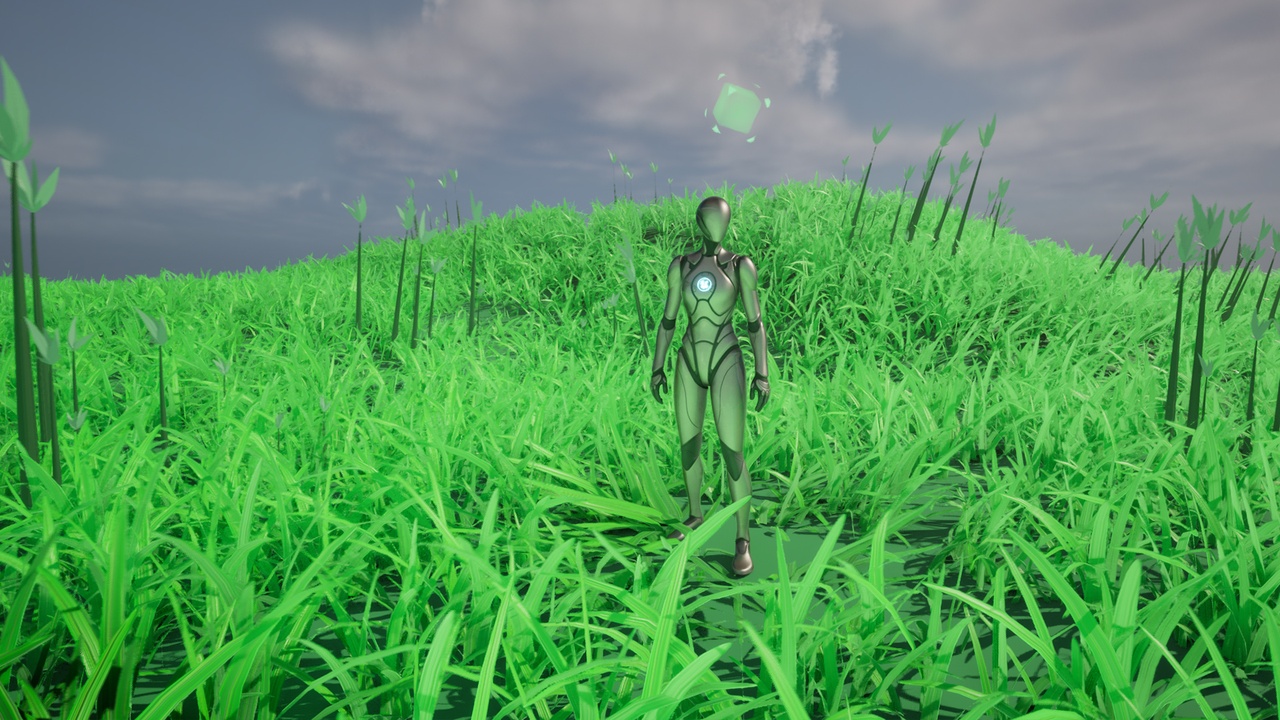 Media 1 for listing Grass Interactive System