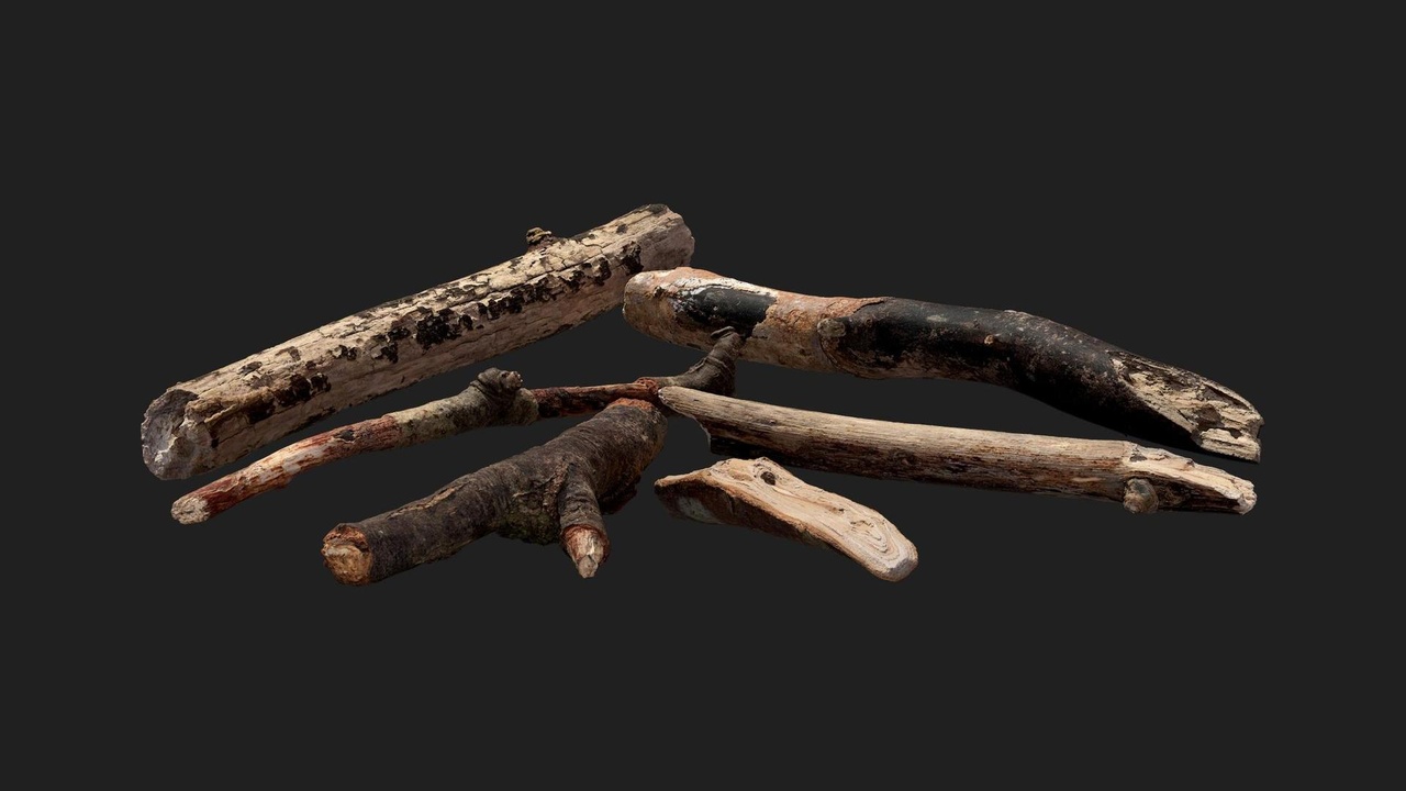 Media 1 for listing Tree Debris Pack