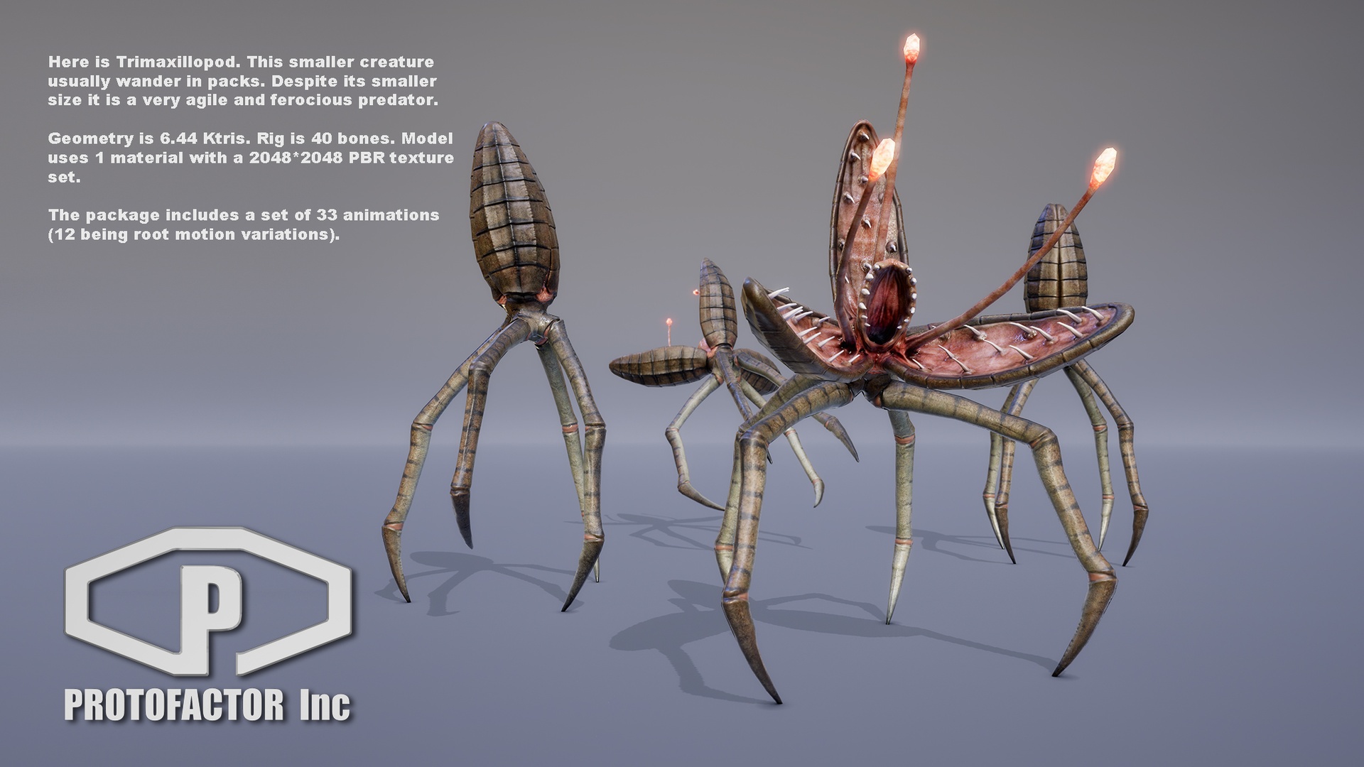 Media 1 for listing MONSTER: TRIMAXILLOPOD