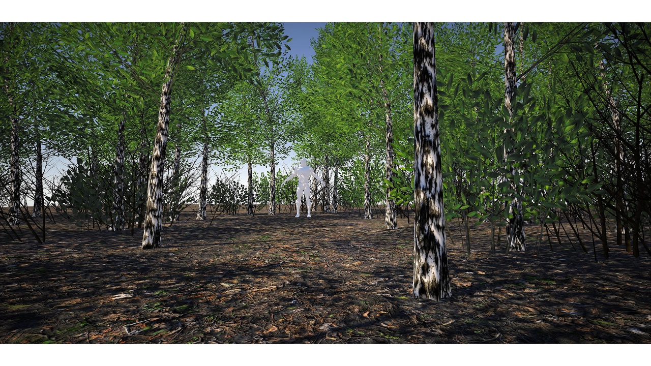 Media 1 for listing Gen04-BirchSpinney01