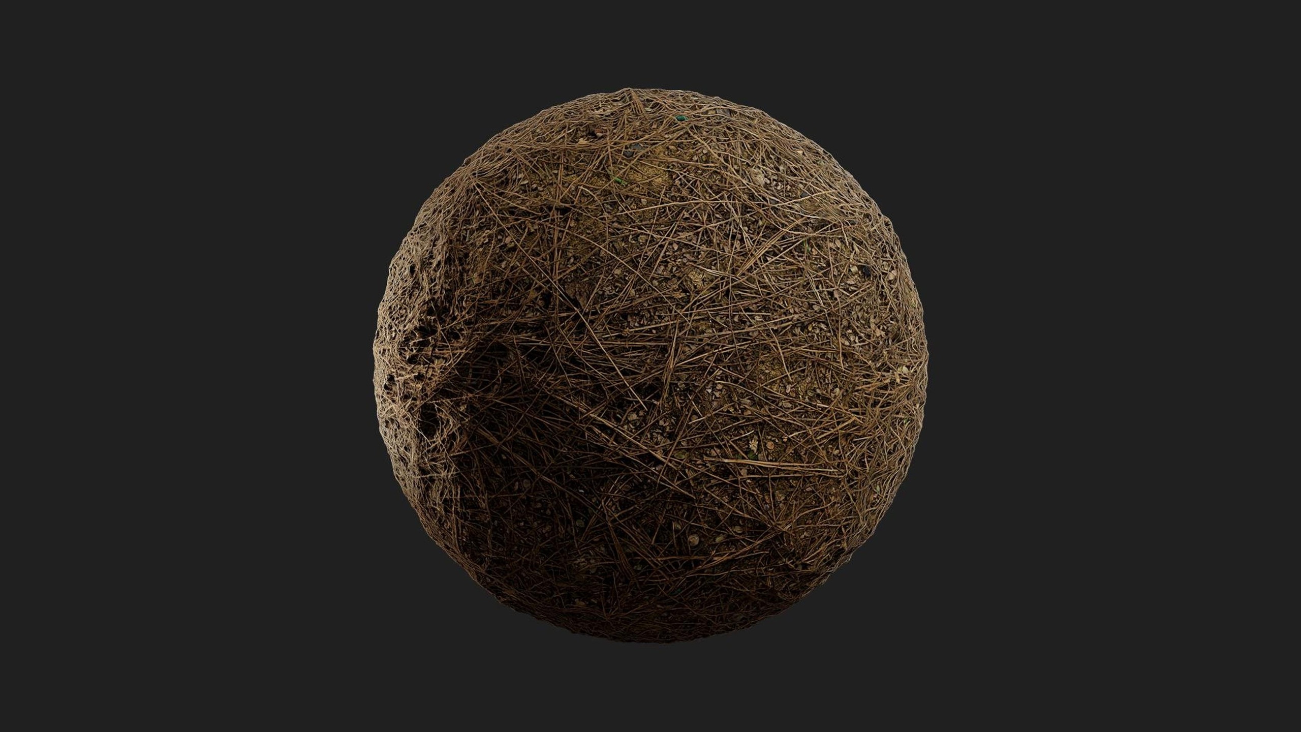 Multimedia 1 para anuncio Pine Needles