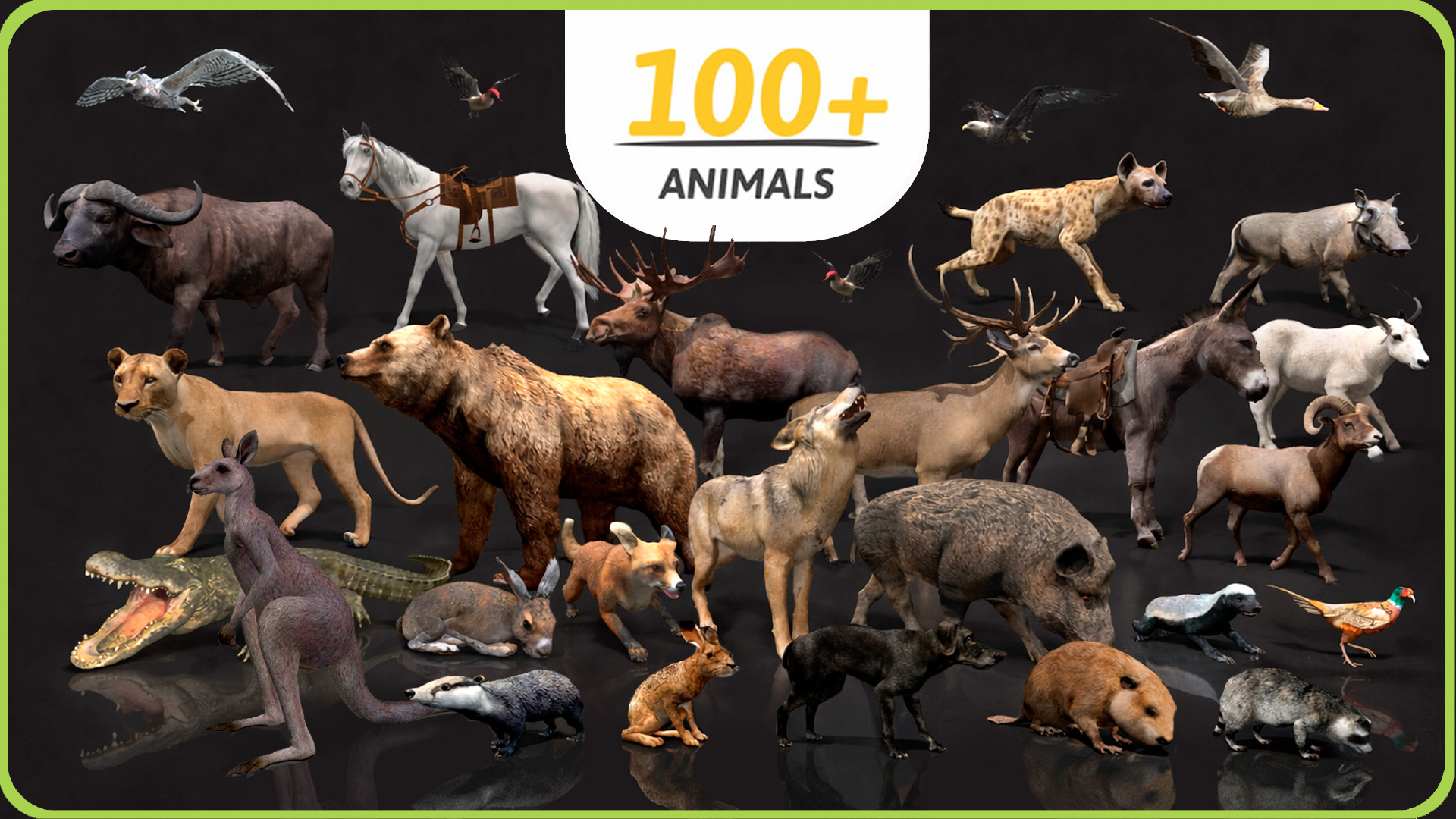 ULTIMATE ANIMAL MEGA BUNDLE | 100+ Animals | Fab