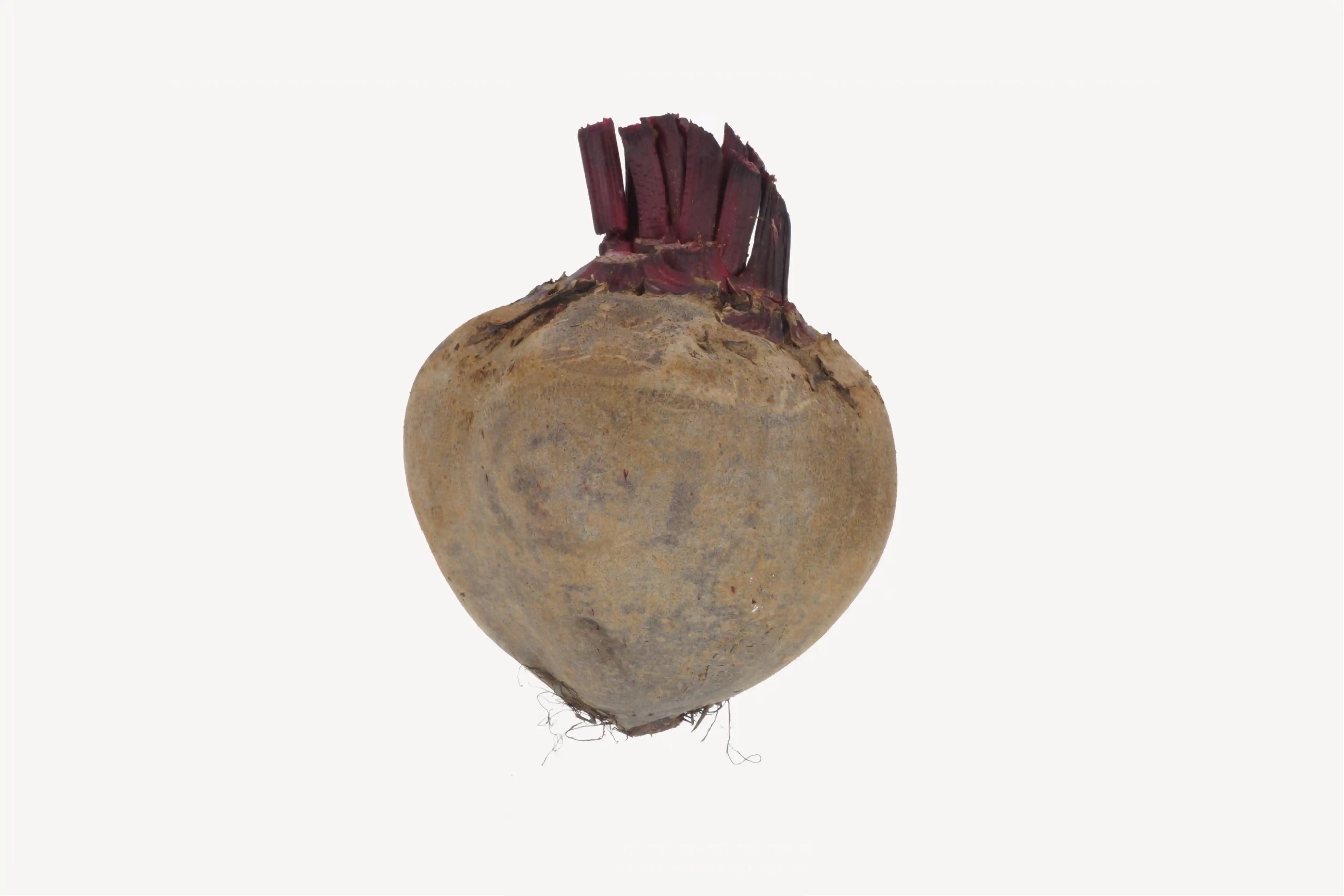 Beetroot | Fab