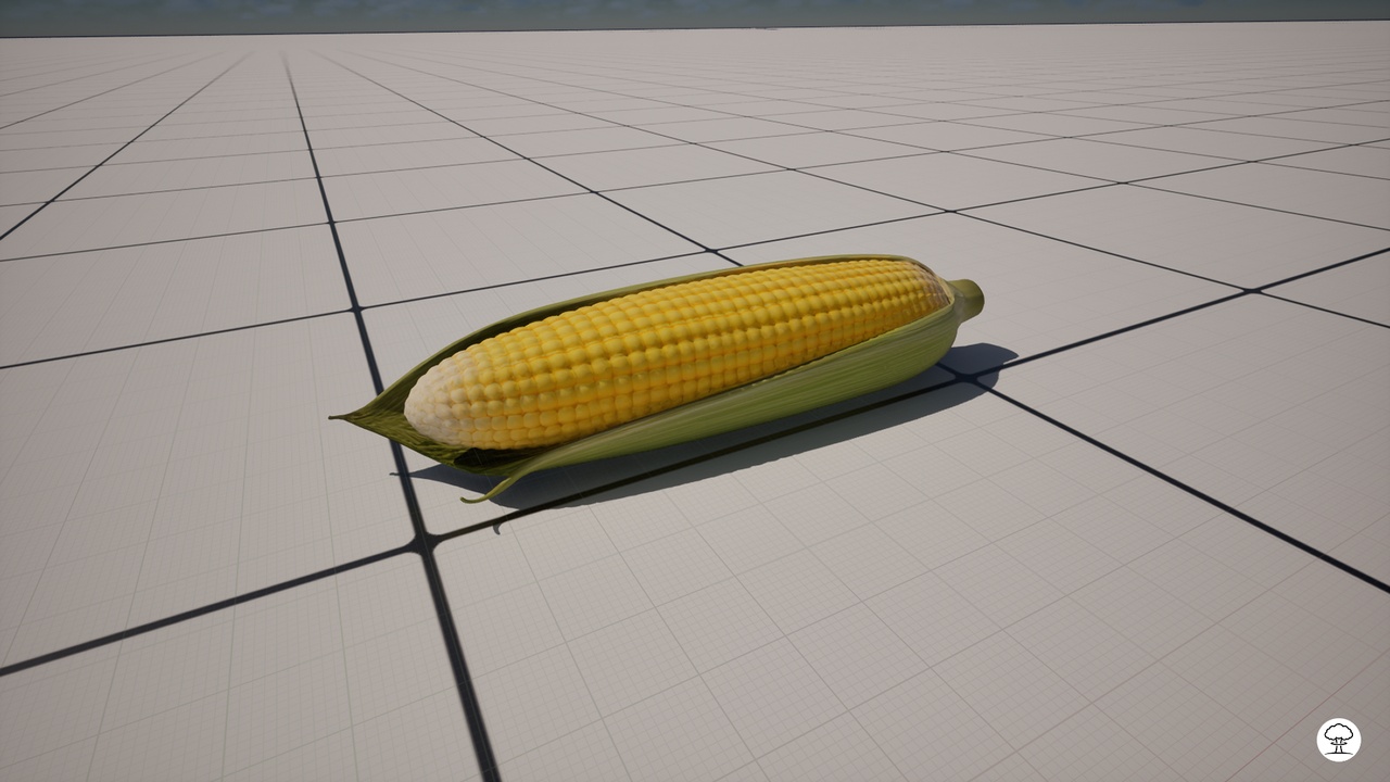 Corn | Realistic mesh | Fab