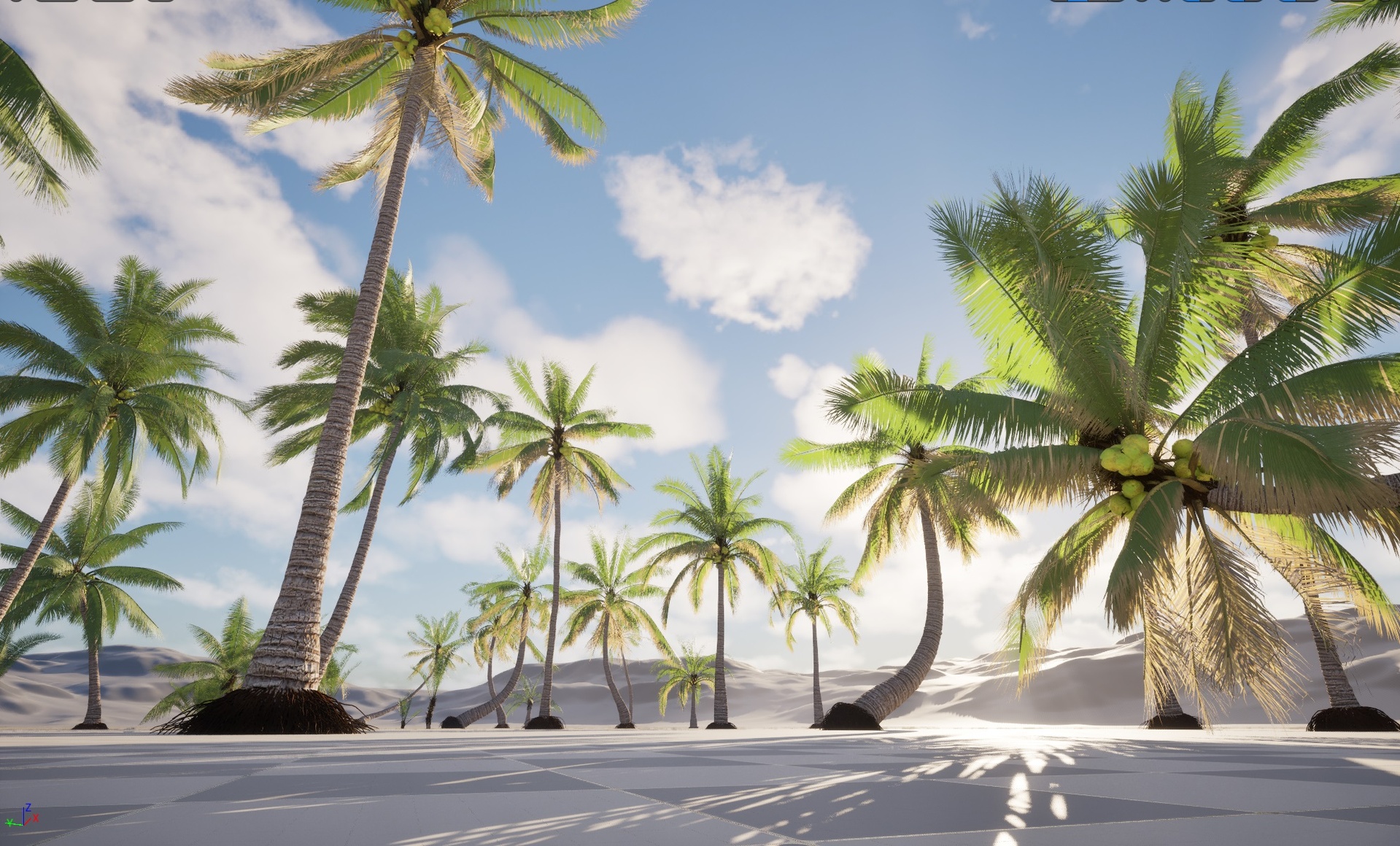 Média 1 pour l'article Nanite Plant Palm - Cocos nucifera - Coconut tree Mega collection (35 Variatons)