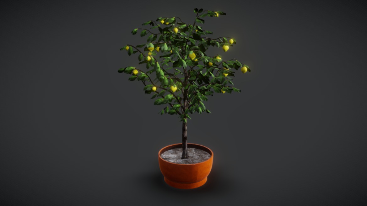 Mini lemon tree | Fab