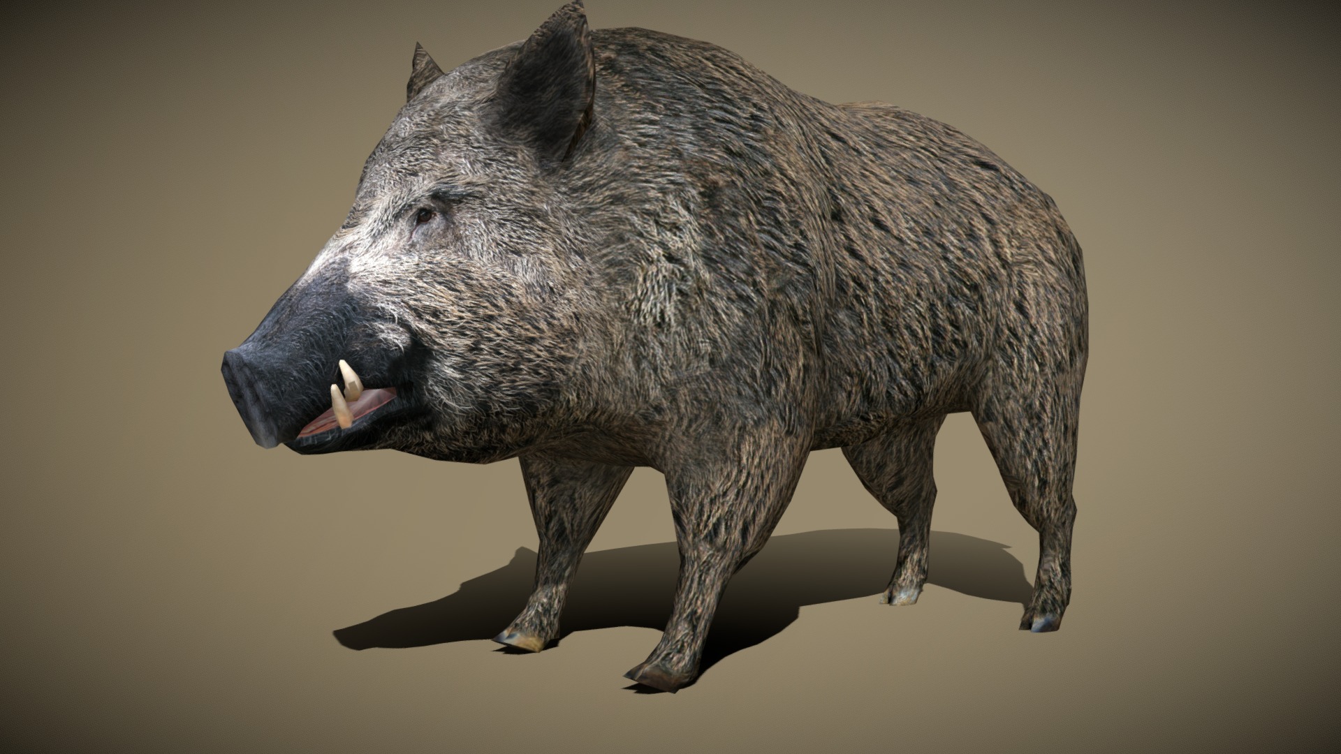 3DRT - wild animals - boar | Fab