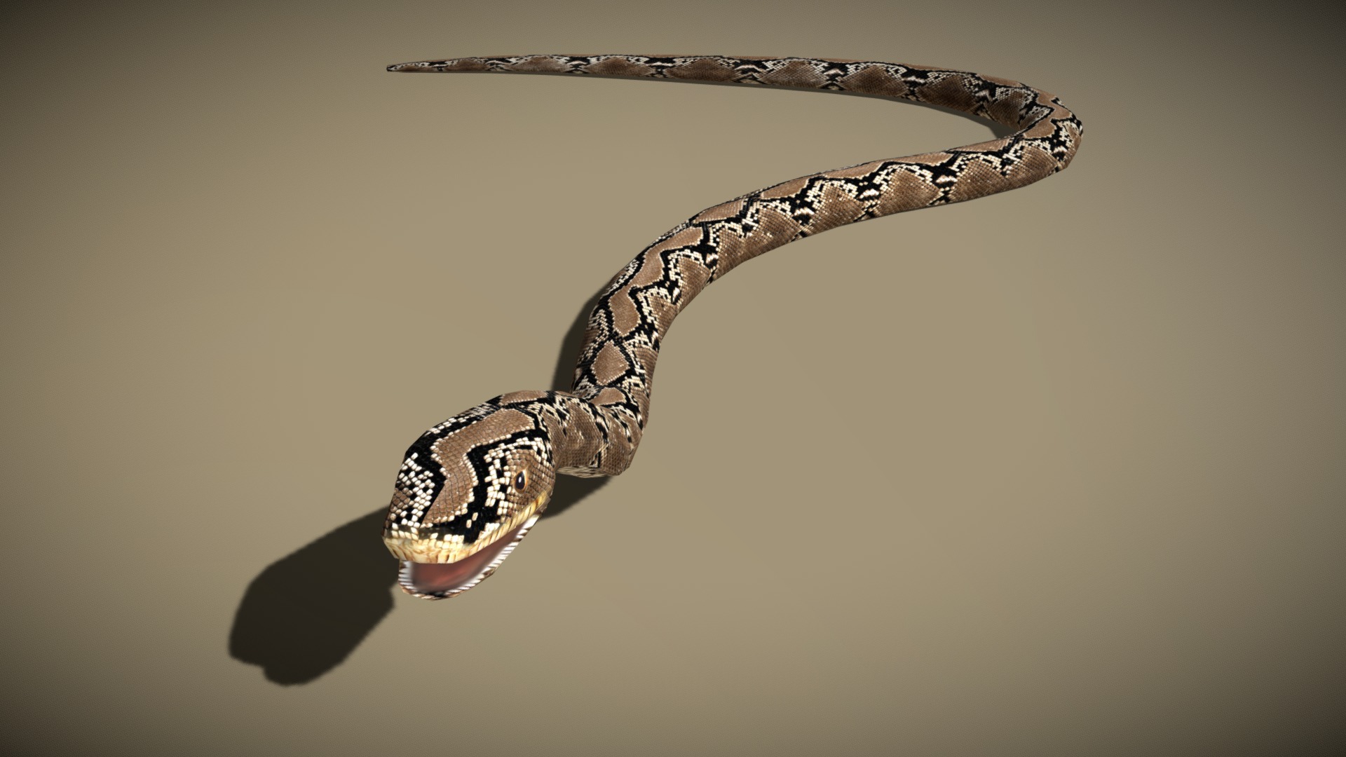 3DRT - birds and critters - snake | Fab