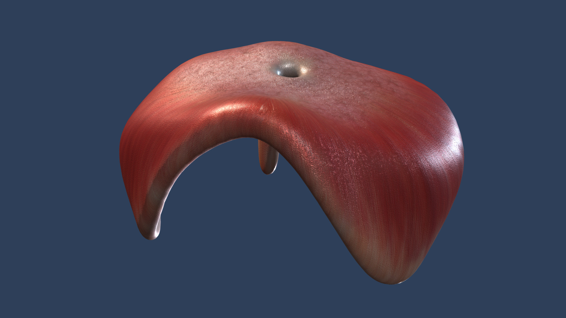 Diaphragm Animation | Fab