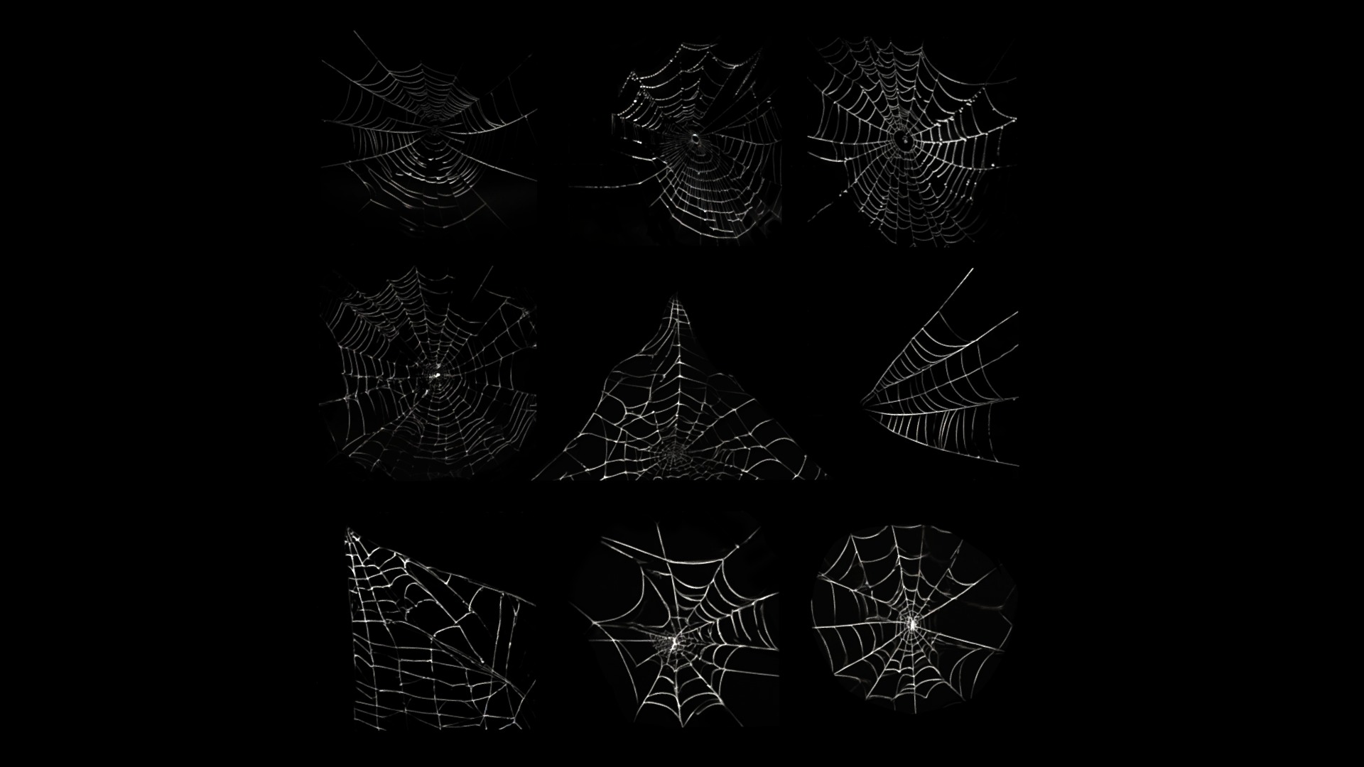 Spider Webs Pack One | Fab