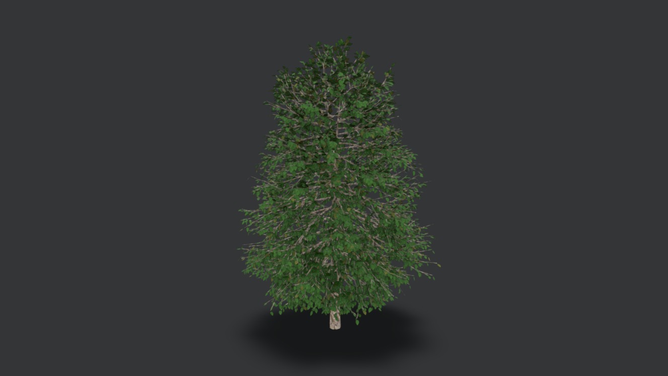 Forest Tree | Fab