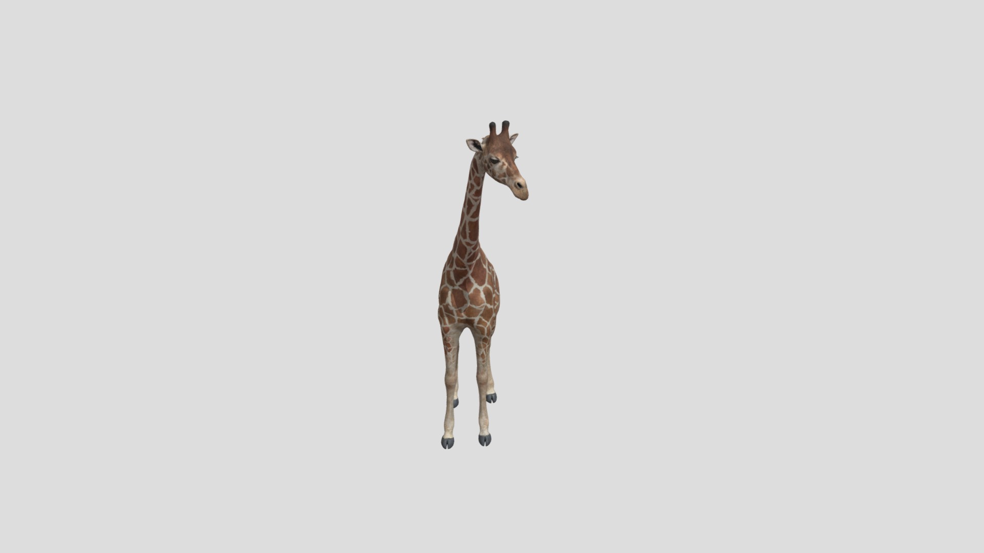 Giraffe | Fab