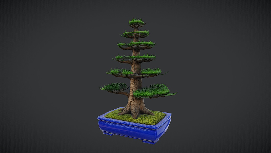 Formal Upright Pine Bonsai - Free | Fab