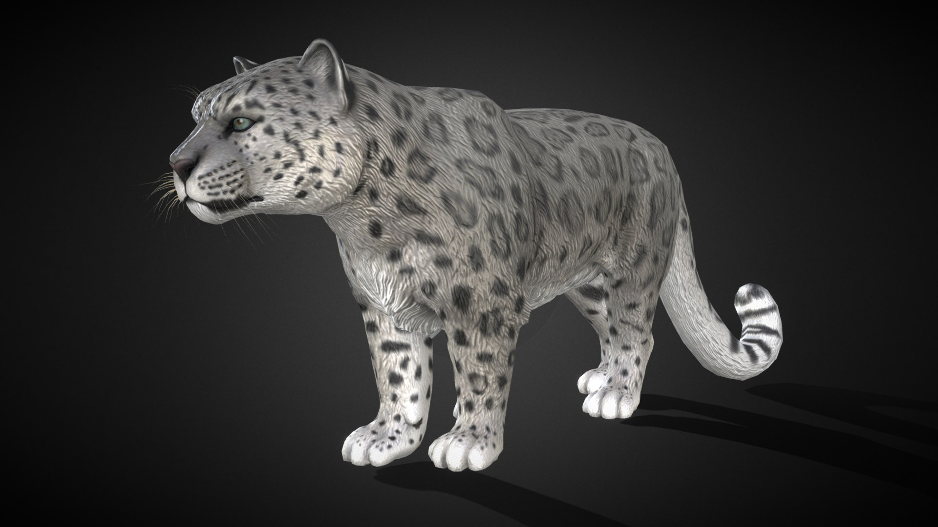 Snow leopard様おまとめ3点 5e488beebd3c9f6dbd17df4b6bba9f
