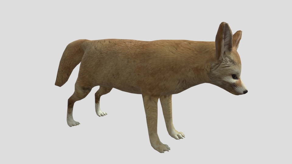 ★Fennec★ NAME POCKET BROWN NAME POCKET - BROWN - Fennec