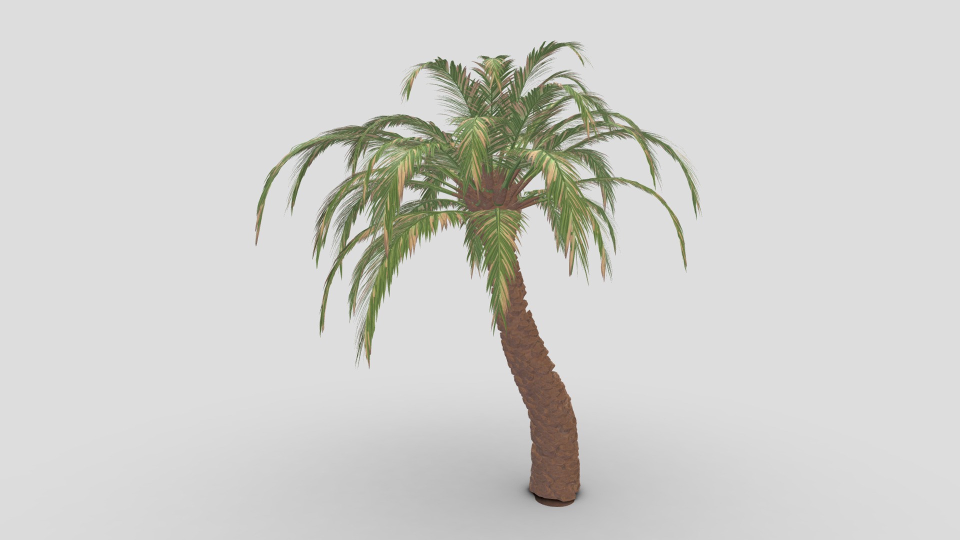 Date Tree- 03 | Fab