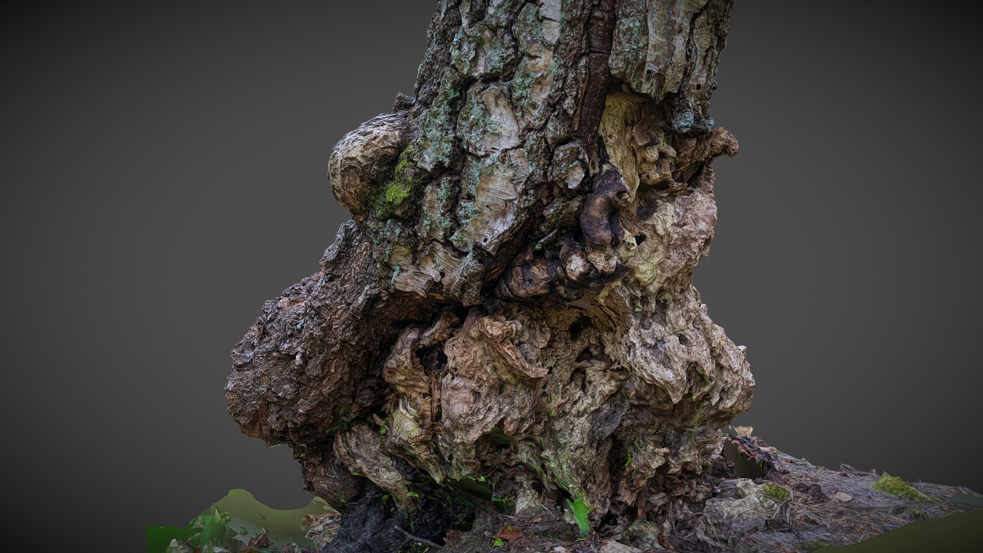 Tree 2 | Fab