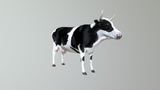 Cow | Fab