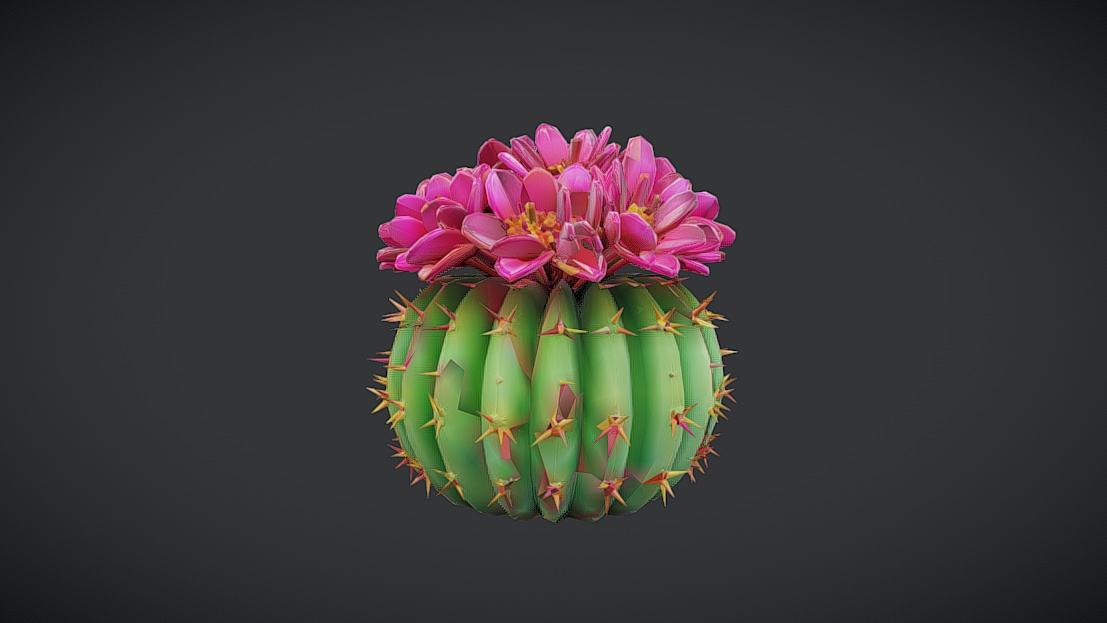 Flowering Crown Cactus - Free | Fab