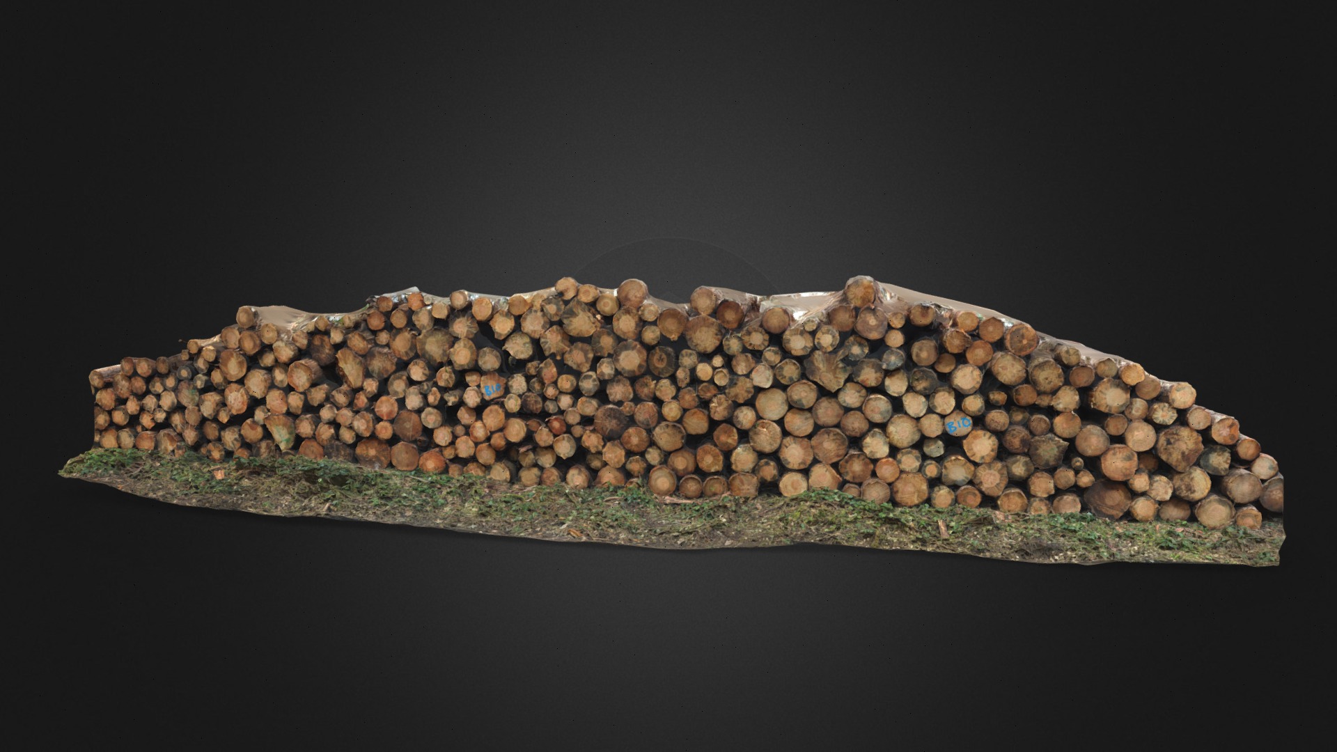 Timber Stack in a Forestry Plantation | England | Fab