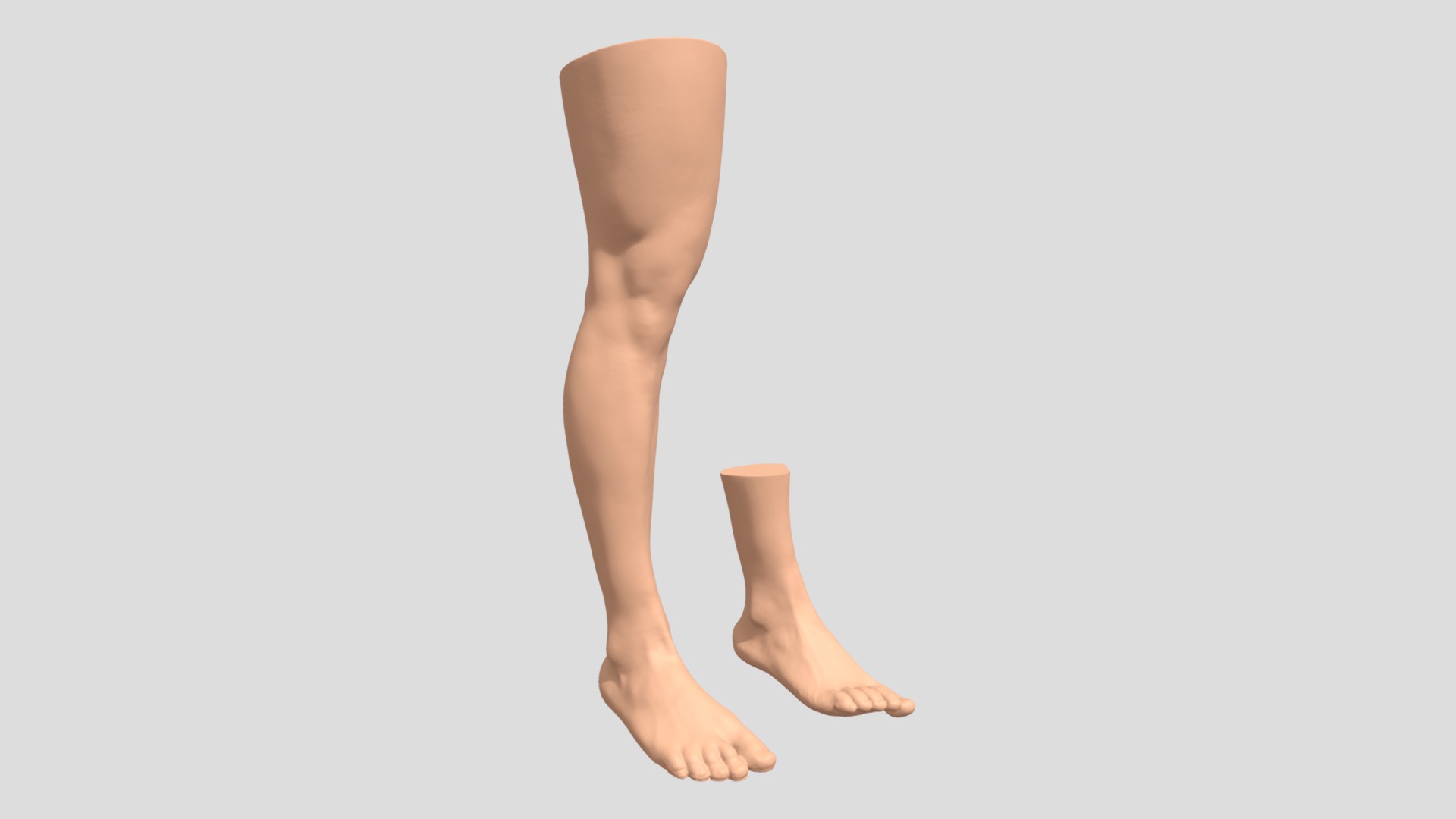Human leg and foot | Fab