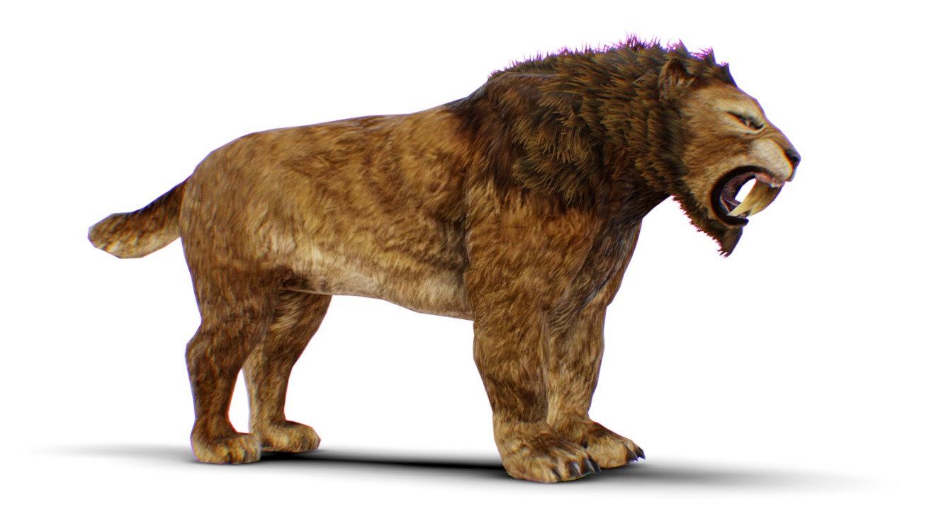 Sabertooth Tiger - Mountain Lion - Brown Old Cat - Wild Panthera ...