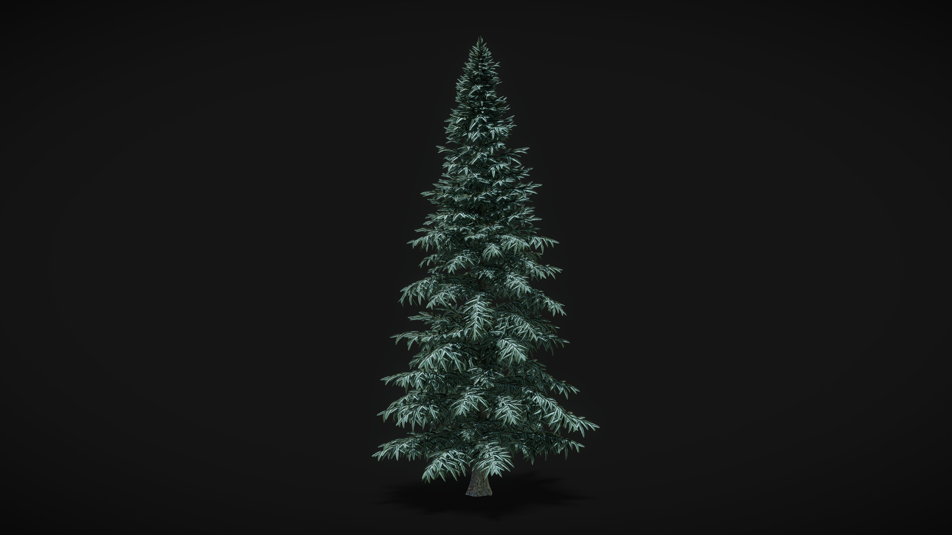 Spruce Tree 3D Model 8m | Fab