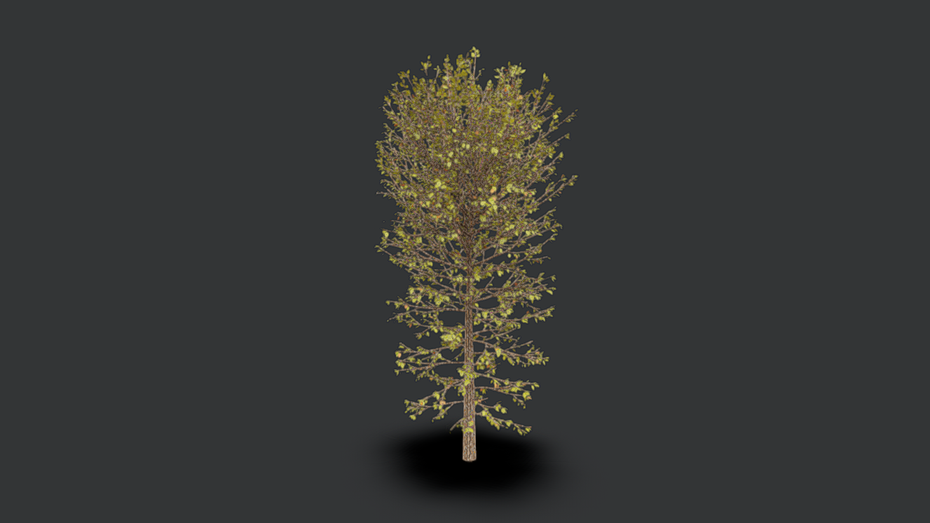 Forest Tree | Fab