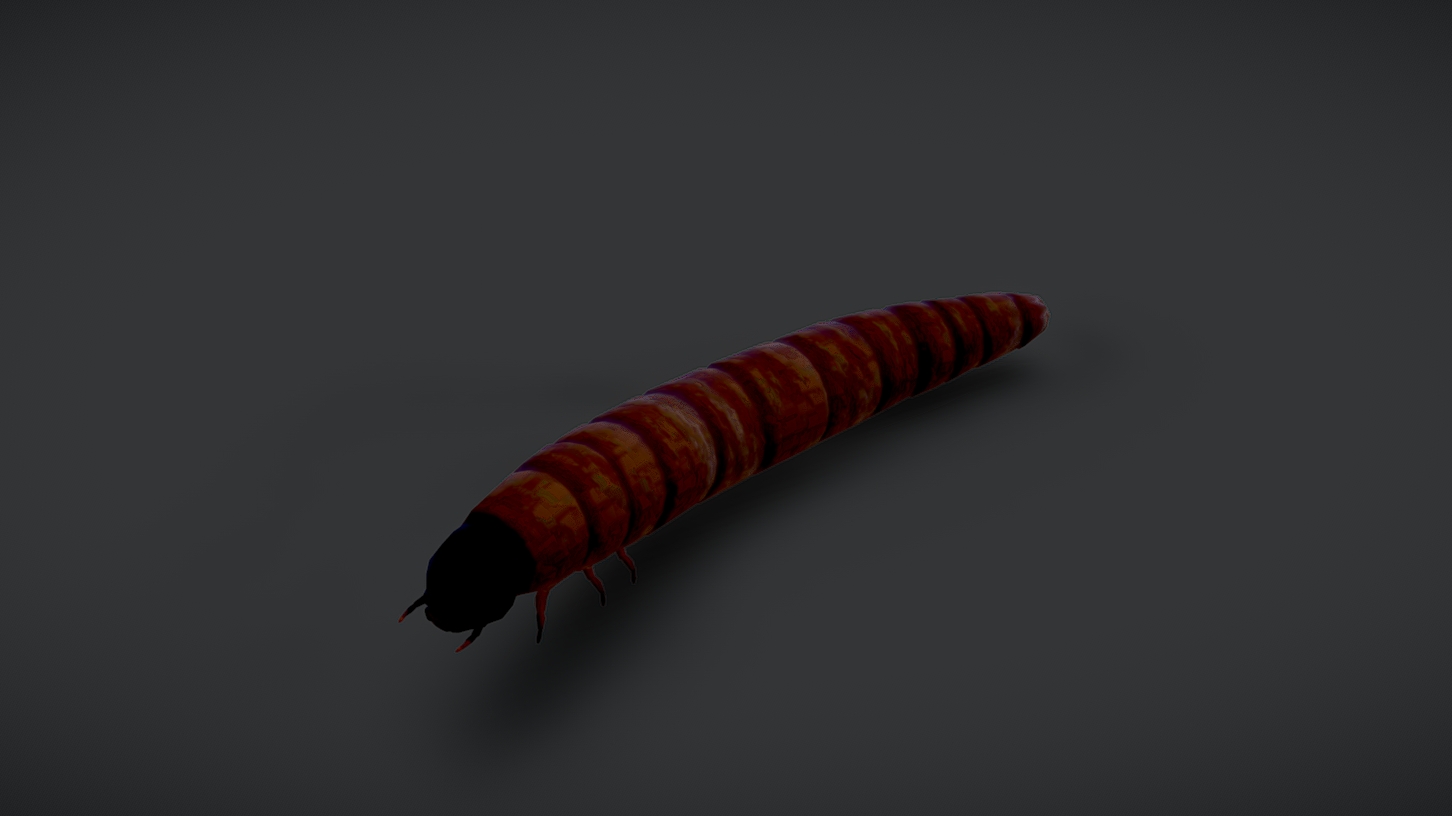 Worm Maggot Low-poly 3D model | Fab