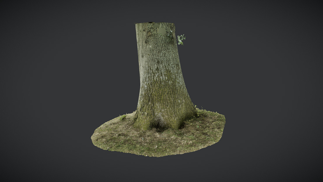 Tree | European | Fab