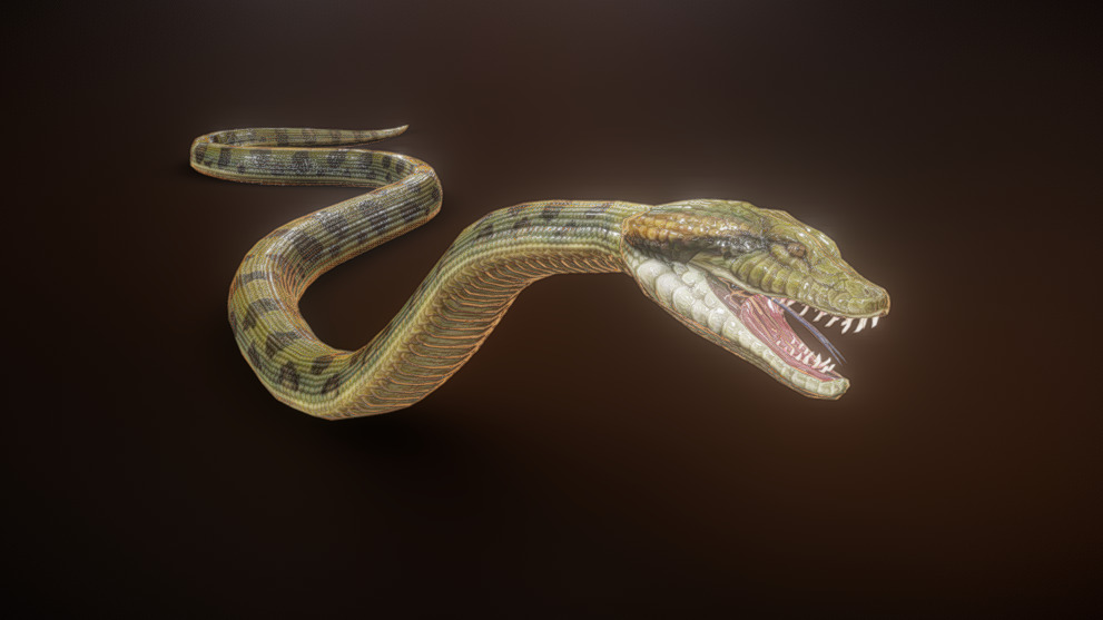 Python binding animation D | Fab