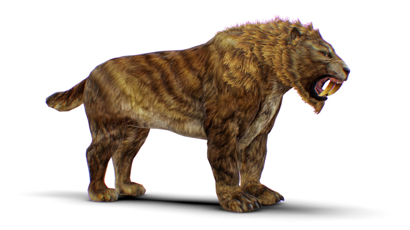 Sabertooth Tiger - Mountain Lion - Brown Old Cat - Wild Panthera ...