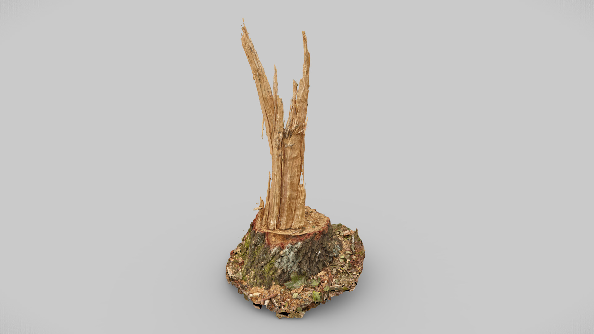 Broken Tree Stump C | Fab
