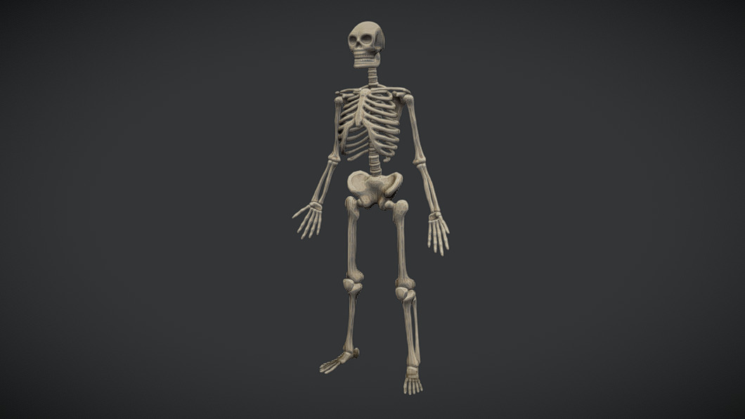 Stylized Skeleton High and Low Poly Mesh Game Ready | Fab