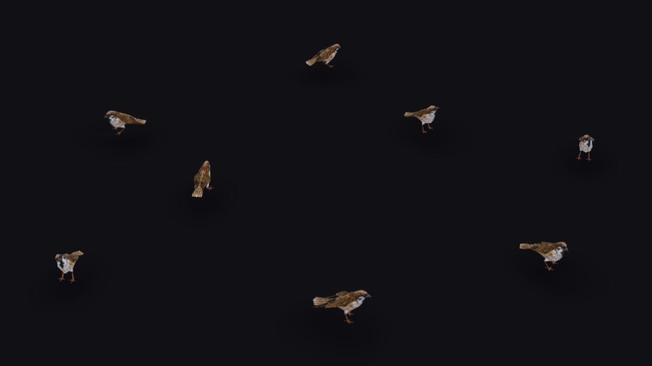 Realistic Sparrow Flock Animated Bird Swarm Shoal Birds | Fab