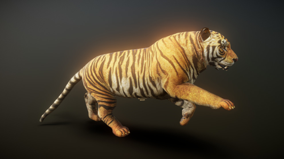 Tiger Running Binding Animation C | Fab
