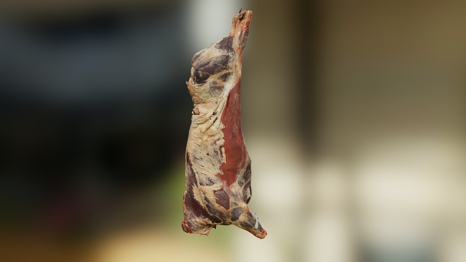 Meat Carcass | Fab