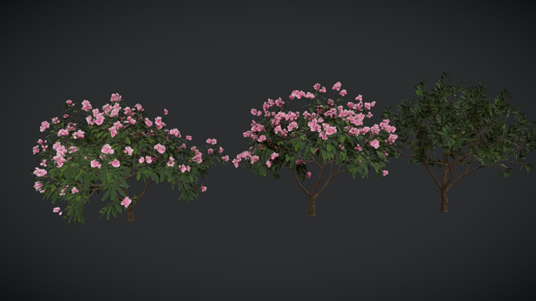 【363】plumeriaページ 4071-71038 Chesapeake Blue Heron Plumeria Floral Trail