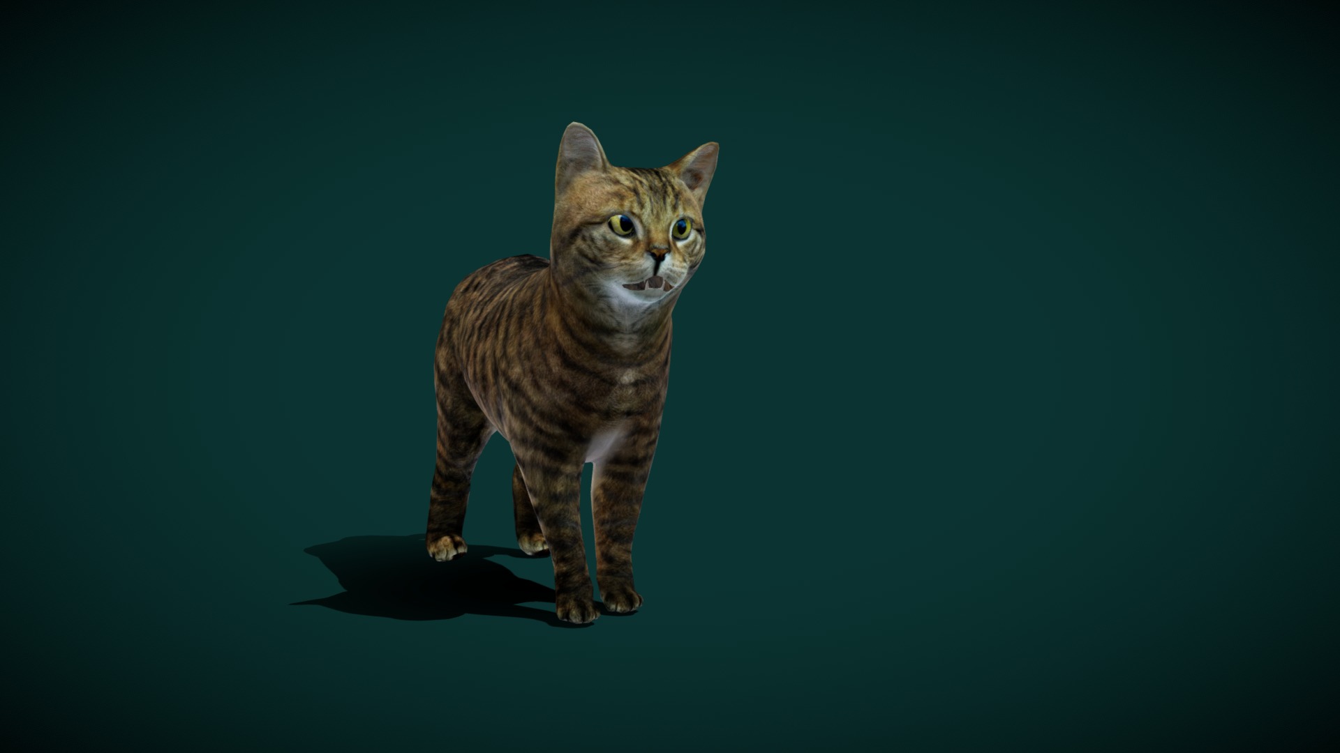European WildCat (Lowpoly) | Fab