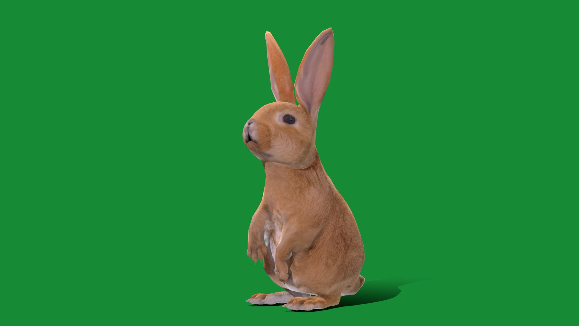 Easter Bunny Rabbit (Lowpoly) | Fab
