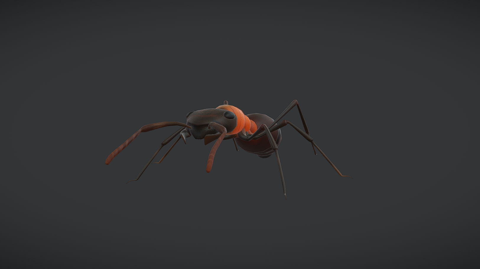 Ant - Formica Rufa | Fab