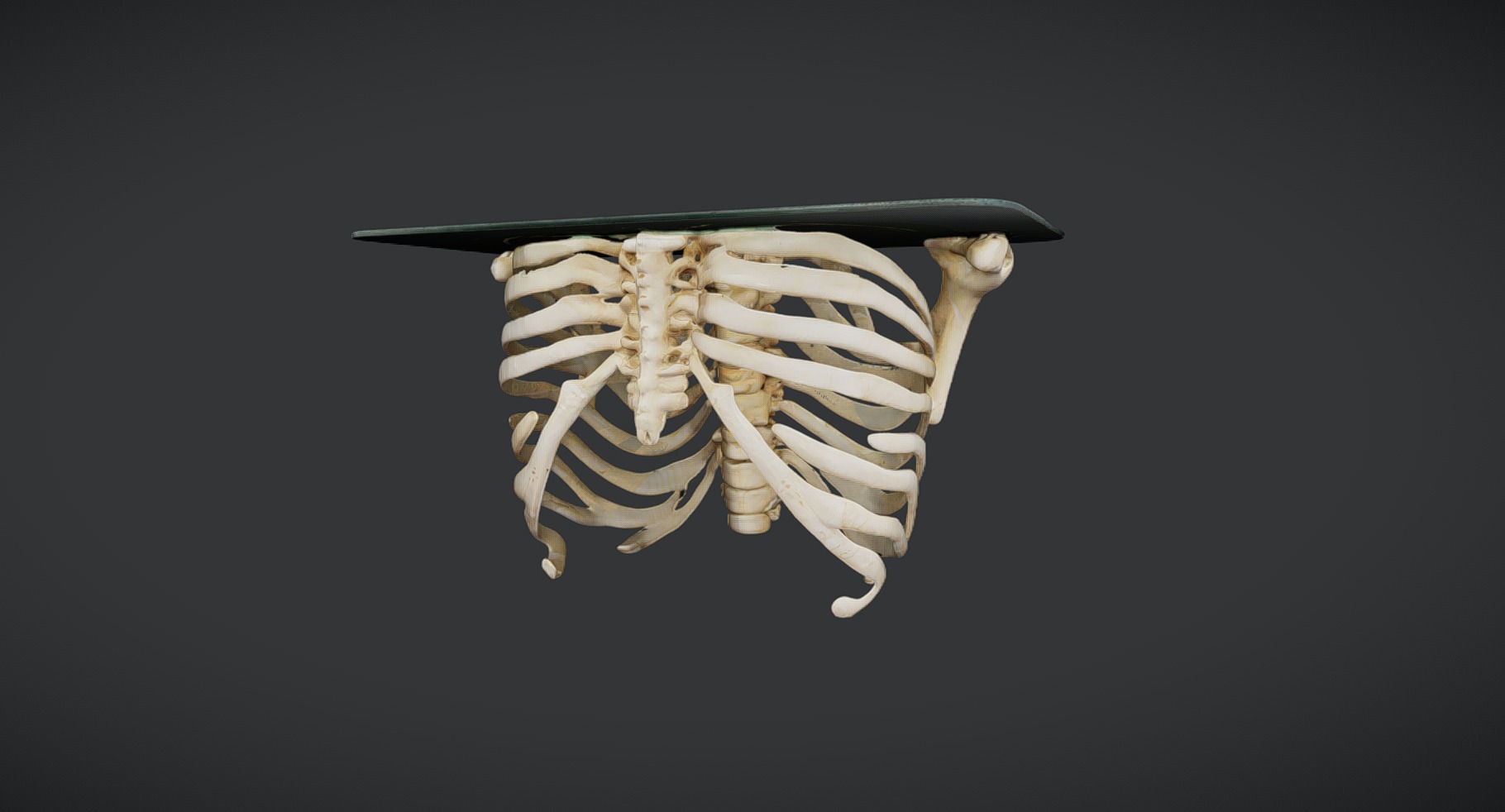 Ribcage-Themed Horror Table 3D Model | Fab
