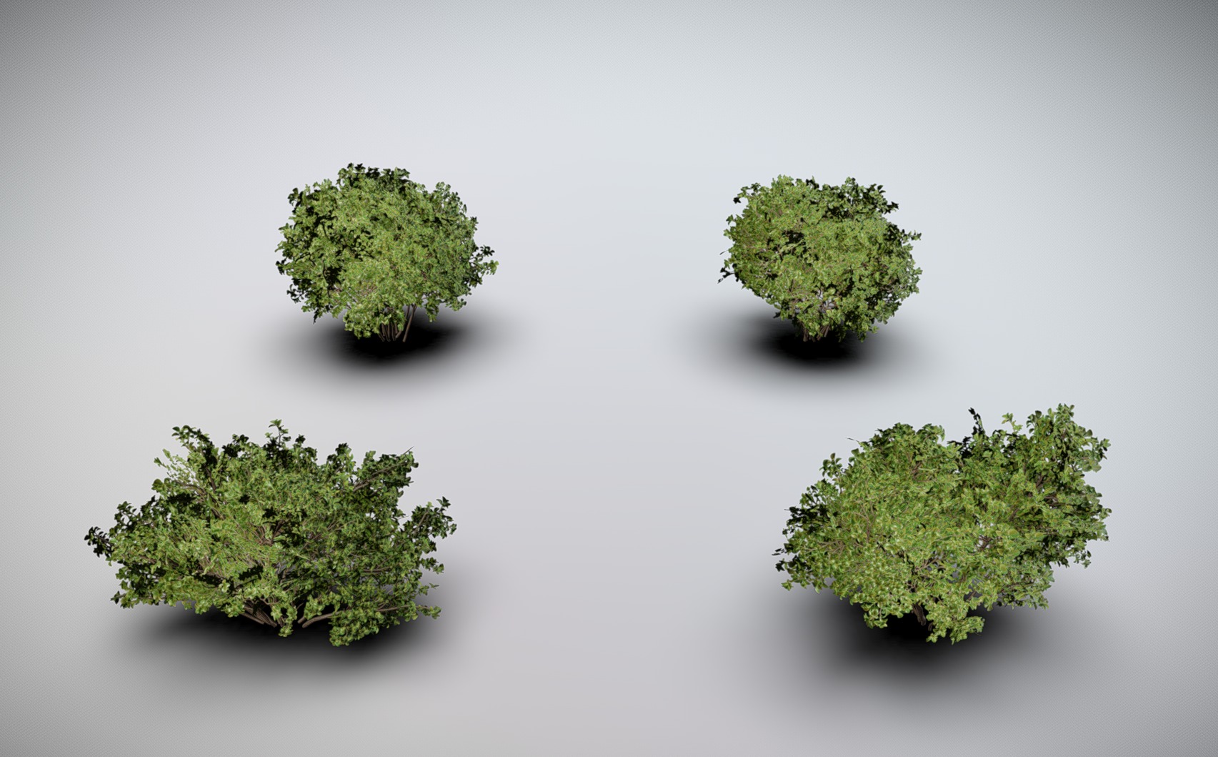 Foliage - Bush 02 - PBR Game Ready | Fab