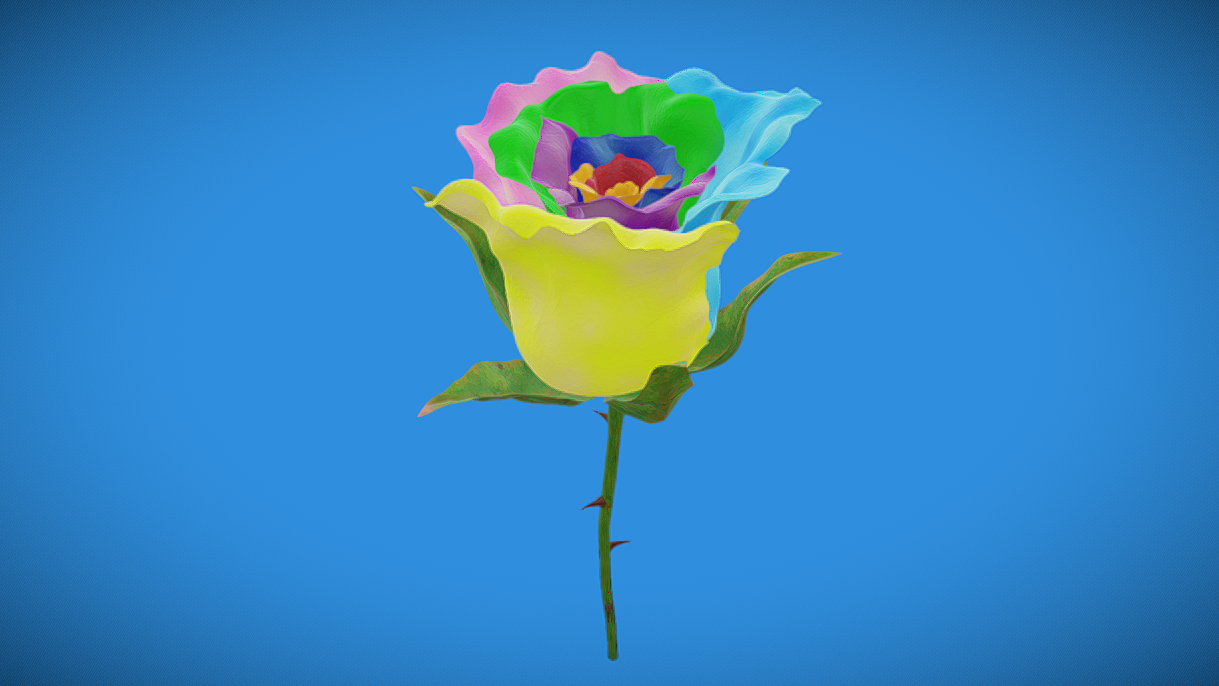 Rainbow Rose | Fab