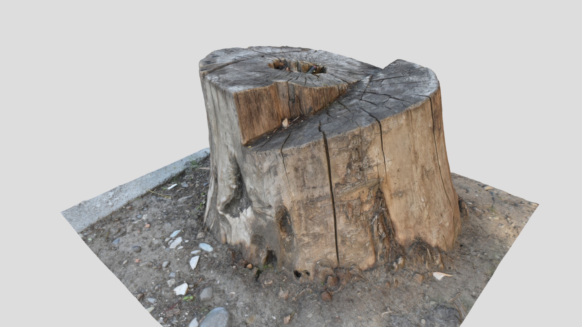 Stump | Fab