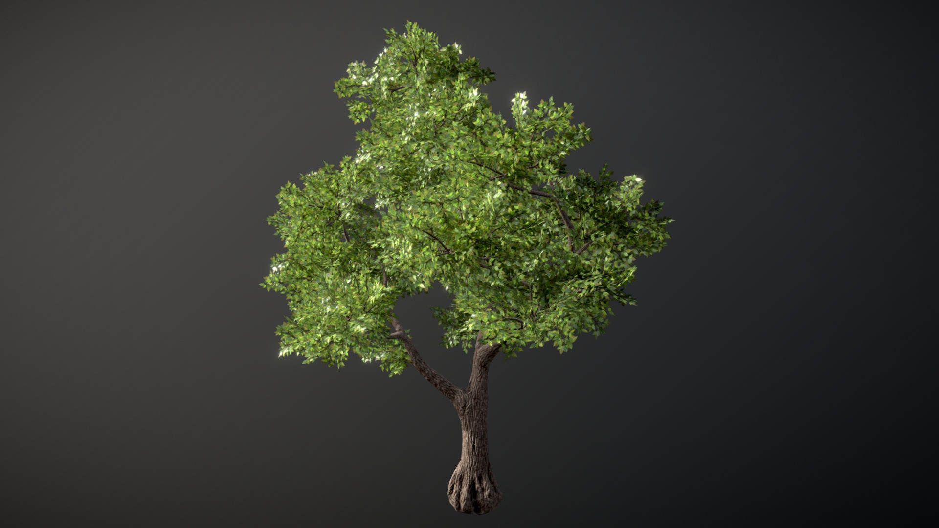 Tree | Fab