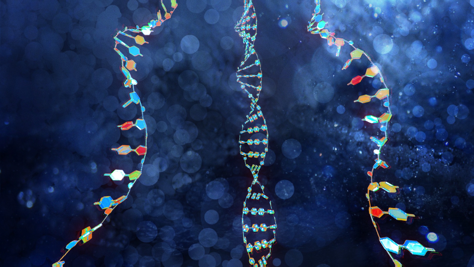 DNA, RNA animated 3D visualization | Fab